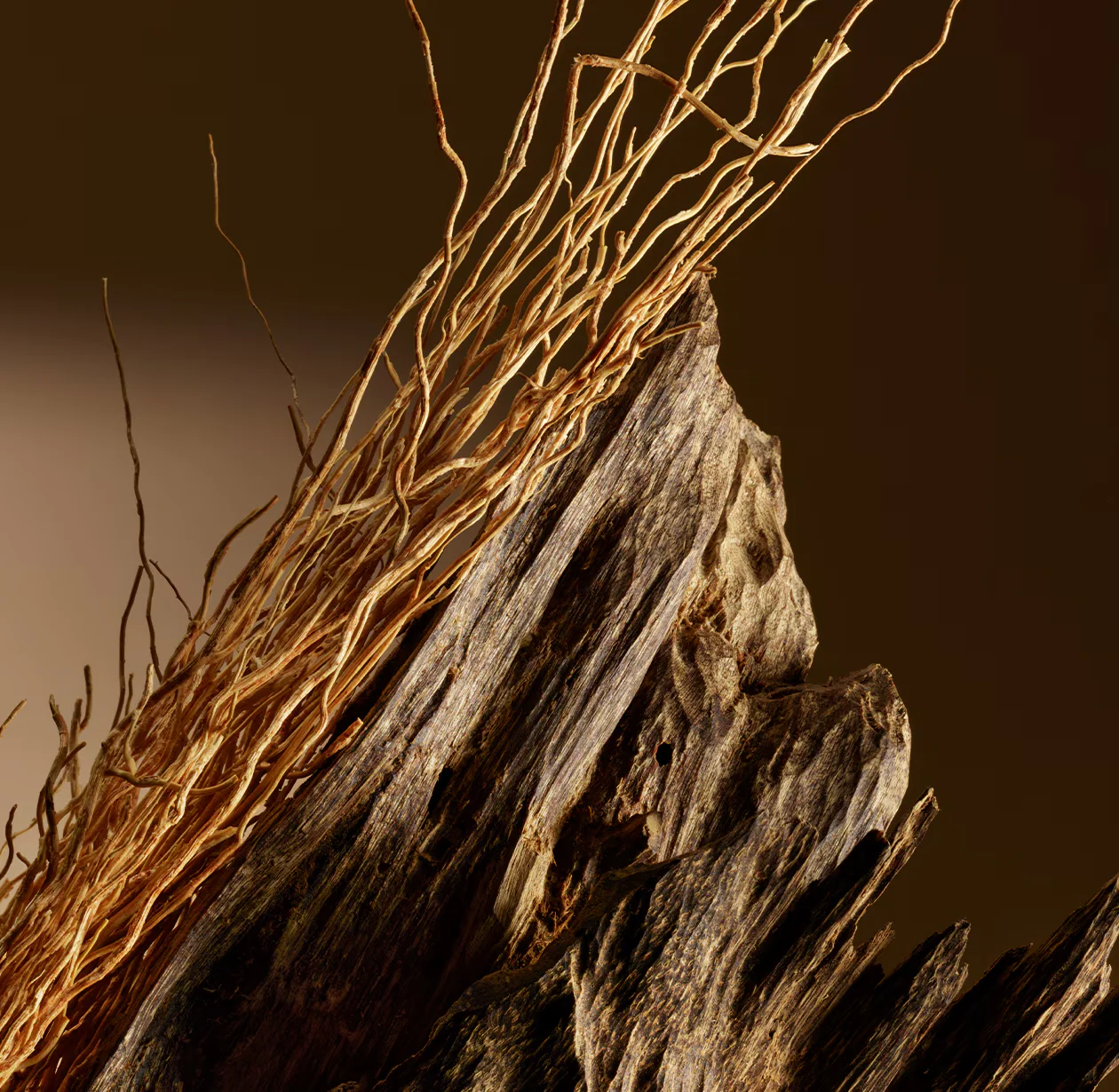 Hope - Image 6
